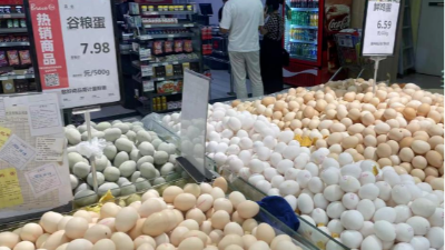 蛋價(jià)破6，價(jià)格還會漲嘛-上海邦森