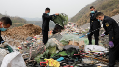 打假3.15！農(nóng)業(yè)執(zhí)法在行動，集中銷毀假冒獸藥3000余盒