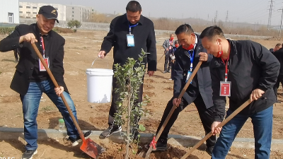 植樹節(jié)，播下希望的種子-上海邦森