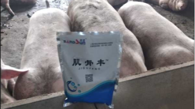 上海邦森肌骨豐豬場提高效益的有效方法，獲得客戶的認(rèn)可
